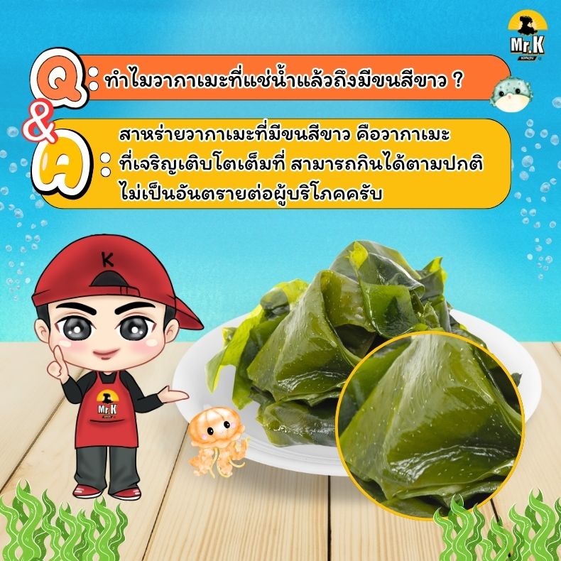 คำถามสาหร่ายวากาเมะ