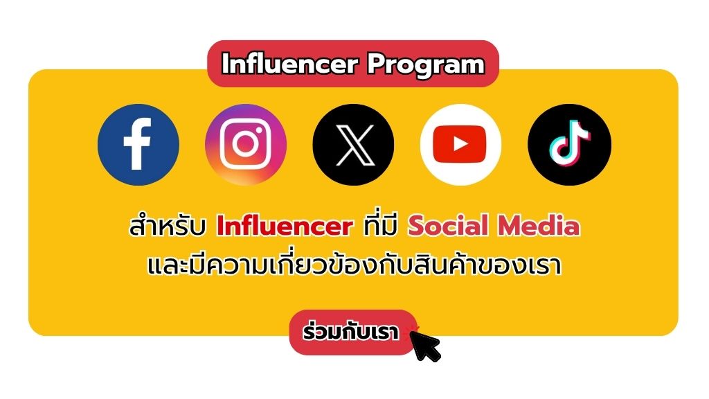 อินฟลู มิสเตอร์เค กิมจิ
